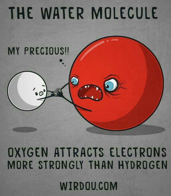 Image de vulgarisation de la molécule d'eau