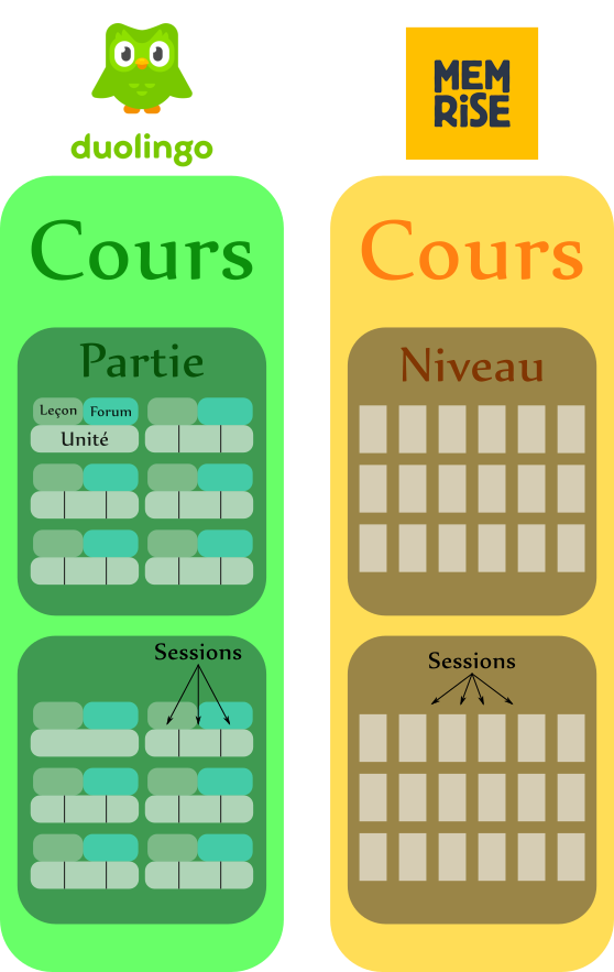 Schéma comparatif de la structure de Duolingo et Memrise
