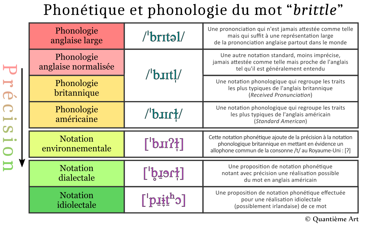 Différences entre la phonétique et la phonologie du mot anglais “brittle”