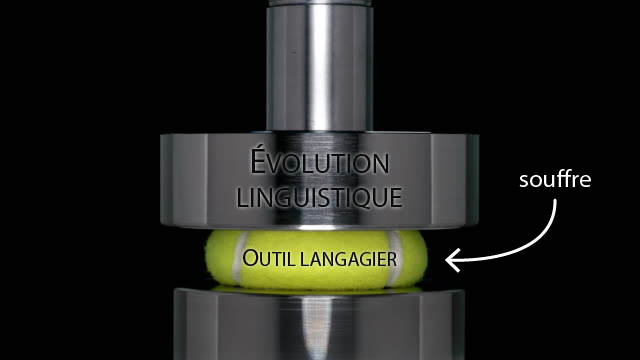 Illustration de la pression de l'évolution linguistique sur l'outil langagier