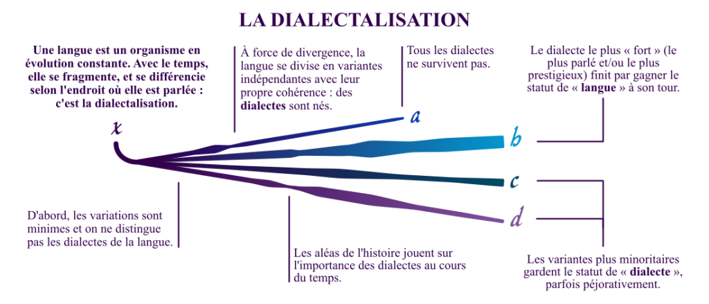 Schéma de la dialectalisation (formation des dialectes).
