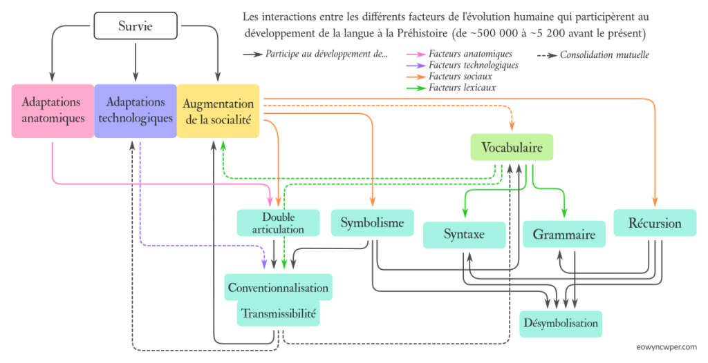 Les interactions entre les différents facteurs de l'évolution humaine qui participèrent au développement de la langue à la Préhistoire (de ~500 000 à ~5 200 avant le présent)